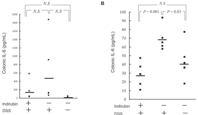 Fig. 8.  Effects of indirubin treatment on colonic cytokine expression in DSS-induced colitis