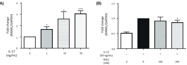 Fig. 4.  Effects of RvE1 on RANKL-induced MMP-9 and cathepsin K mRNA expression in RAW264.7 cells.RAW264.7 cells were pre- pre-treated with RvE1 and then stimulated with 100 ng/mL RANKL for 24 or 48 h, and the mRNA expression levels of MMP-9 and  cathep-si