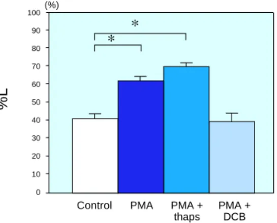 Fig. 5.  Cell length changes in isolated rat cardiomyocytes treated with PMA, thaps or DCB