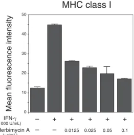 Fig. 2.  Interferon-gamma (IFN-γ) induced the ex- ex-pression of major histocompatibility complex (MHC) class II molecules on HLC-1 cells
