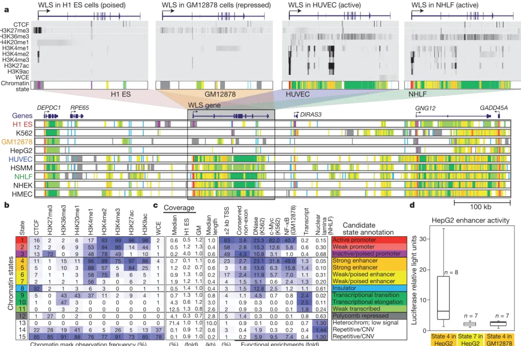 Figure 1 | Chromatin state discovery and characterization. a, Top: profiles for nine chromatin marks (greyscale) are shown across the WLS gene in four cell types, and summarized in a single chromatin state annotation track for each (coloured according to b