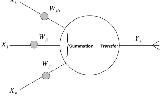 Figure 2.6: A neuron (Dougherty, 1995)