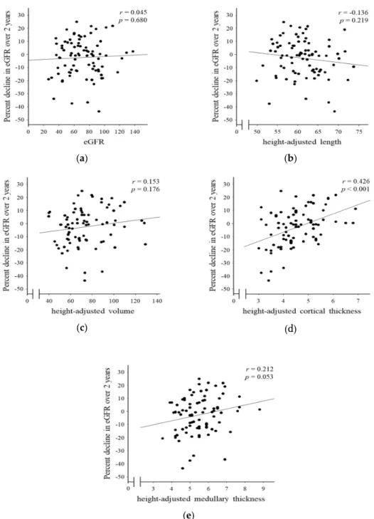Figure 3. Correlation of morphological parameters by ultrasonography and decline in renal function  over 2 years