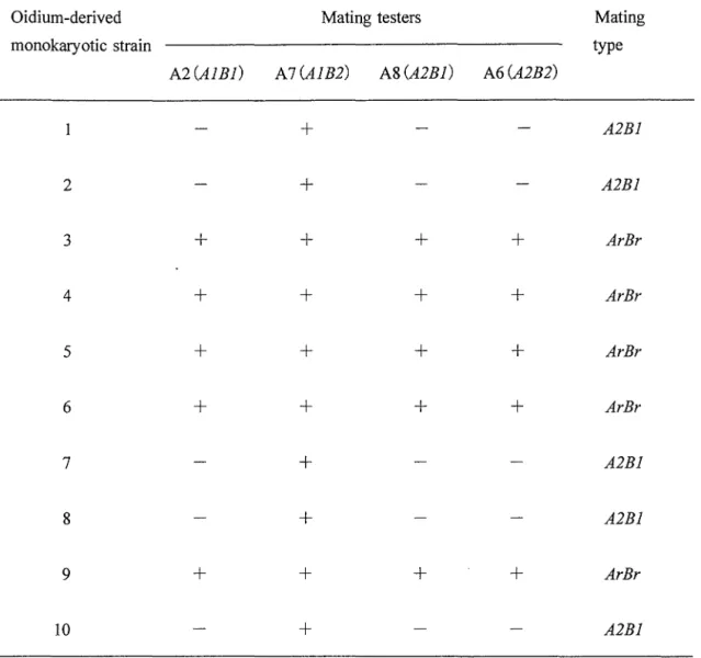 Table 5 ‑ 4 .  M a t i n g  c o m p a t i b i l i t y  t e s t s  of t e n  s t r a i n s  o f  o i d i u m 綱 d e r i v e dmonokaryons p r o d u c e d   f r o m  i n c o m p a t i b l e  d i ‑ m o n  m a t i n g  b e t w e e n  a  monokaryon A8‑2(A2Bl /h i