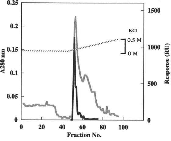 Figo  Ⅳ ‑8 PG― fo..ュ lyl― cellulorlne colurm chromatography of solubilized fat body membrtte protein.Ftt body cell membrane was solubilized win l%cHAPS and applied to a column(0。 8× 4cd ofPG― foェ ▲ ▲ 二 yl― celluloine equilibrattd wi血 50mlИ MES buffer,PH5,5
