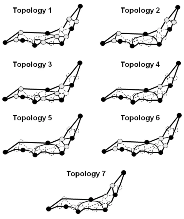 Figure 4: Optimum topologies evaluated by DEA