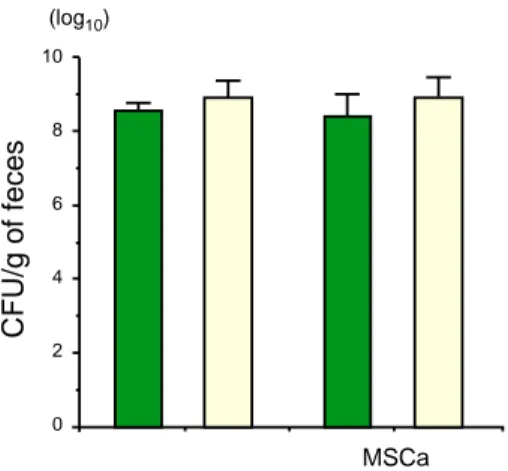 Fig. 4.  Numbers of colony forming units (CFU) of mouse intestinal bacteria.