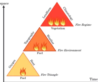 Figure 2.3 Concepts of fire change across spatial and temporal scales,                 modified from   Mark and Kevin (2009)