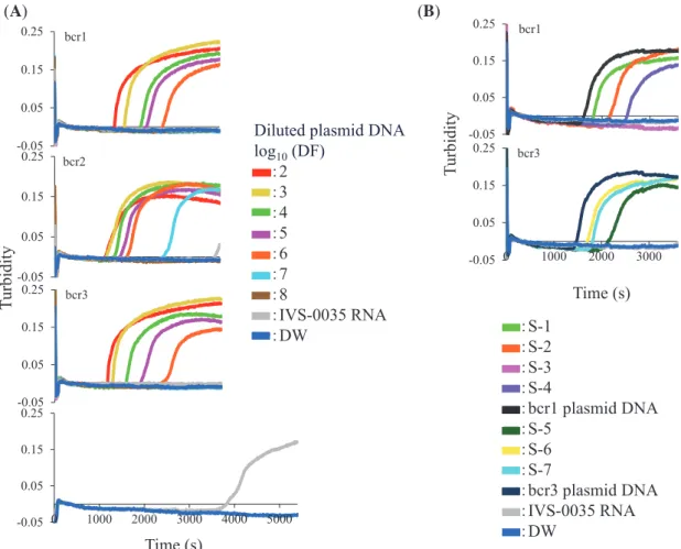Fig. 2.  Detection of  PML-RARα  in plasmid DNA and clinical RNA samples by RT-LAMP. ( A ) Ten-fold serial dilutions of bcr1, bcr2, and  bcr3 plasmid DNAs were used as template; the starting amounts were 8.8, 7.8, and 8.0 × 10 8  copies/tube, respectively