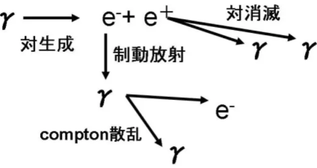 図 2.4: 考えられうる連続的な相互作用の一例 2.5 セットアップの想定 図 2.5 にセットアップの概要図を示す。Absorber としては Pb を用いる ことを想定し、Pb によって発生した低エネルギーのγ線を取り除くため の Absorber としては、プラスチックを用いることを想定する。Absorber との相互作用で発生し、かつ検出器に向かって飛行してくる電子、陽電 子に関しては、Sweep Magnet に磁場をかけることで取り除くことができ ると考えられる。