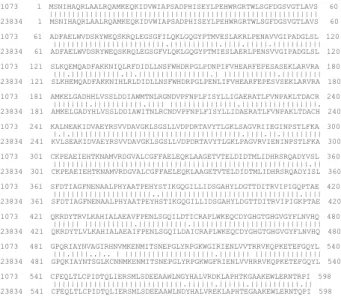 Fig. 2-7. Amino acid homology of X-prolyl aminopeptidases from E. corrodens 1073 and ATCC23834