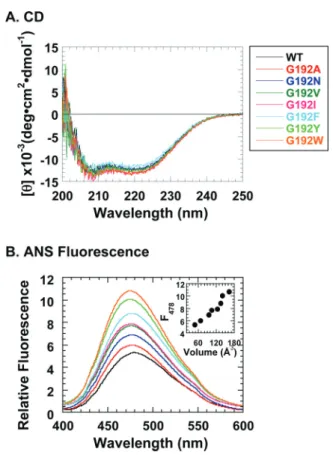 Fig. 2 shows the results of the initial structural characteriza- characteriza-tion of seven GroEL G192X mutants using circular dichroism (CD, Fig