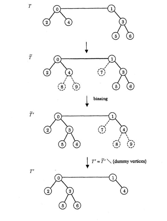 Figure 2:  An  example of  constructing T' from  T,  where broken lines denote dummy vertices  and  edges