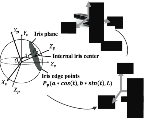 Fig 4.7: Four coordinate systems: Kinect coordinate, head coordinate, eyeball  coordinate, and iris coordinate systems