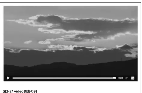 図 2-2 ：  video 要素の例
