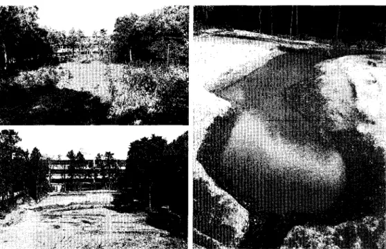図 6 出土遺物実測図 ( 1 : 4 ) (上：士師器、陶：陶器、磁：磁器）