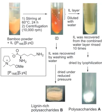 Figure 1. Extract i on protoco l o f po l ysacchar i des f rom bamboo powder using an IL.