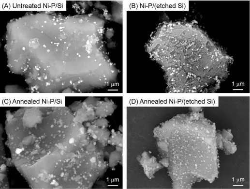 Figure  2  Backscattered  electron  images  of  (A)  untreated  Ni–P/Si,  (B)  Ni–P/(etched  Si),  (C)  annealed Ni–P/Si, and (D) annealed Ni–P/(etched Si) powders