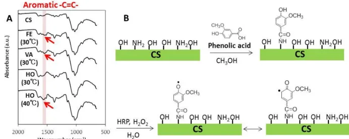 Fig.  4. IR spectra of the extracted FE/CS, VA/CS, HO/CS films and CS (A), and illustration 208 