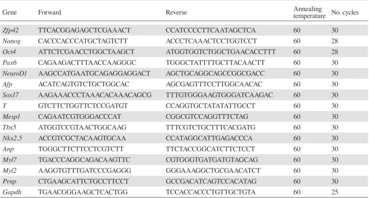 Table 1. Primer list in gene expression analysis