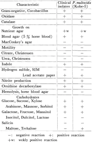 Table  1  Comparison  of  sensitivity  of  clinical isolates  and  reference  strain  to  antimicrobial agents