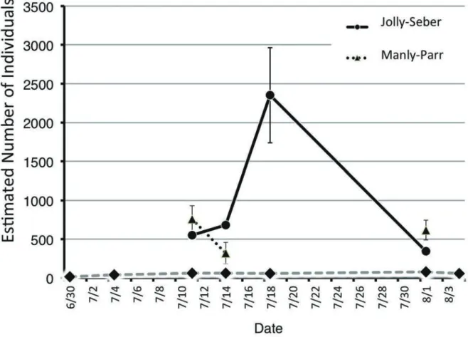 Fig.  5.  Numbers of individuals of Cylindera elisae estimated by the Jolly and Seber method and Manly and Parr method