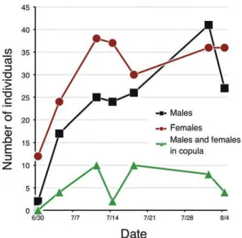 Fig. 6.  Number of males and females and those in copula in Cylindera  elisae (Half the number corresponds to the number of copulated pairs