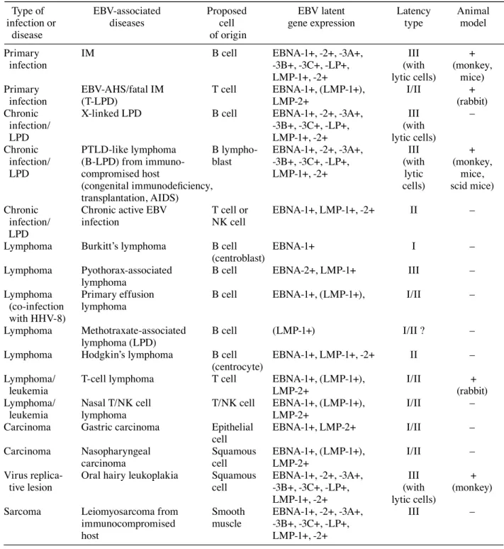 Table 1.  Comparative overview of EBV-associated diseases (tumors) in humans and their compat- compat-ible animal models