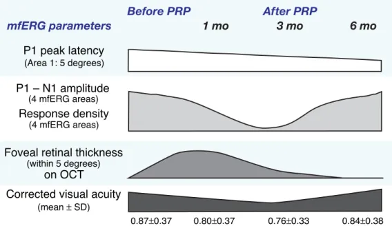 Fig. 8.  Summarized data obtained in the present study before and after PRP in 14 diabetic eyes