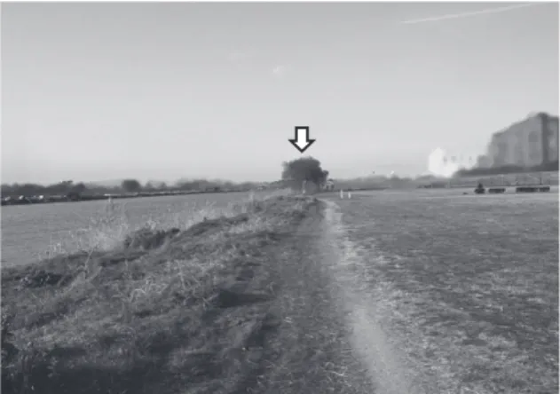 Fig. 1. The environment around the Asio otus roost. The white arrow indicates the roosting trees