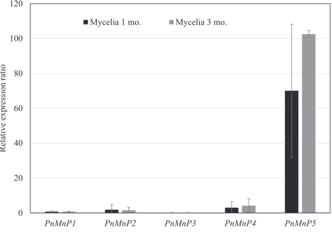 Fig. 2-4 Relative expression ratio of PnMnP1-5 genes expression from mycelial  growth of P