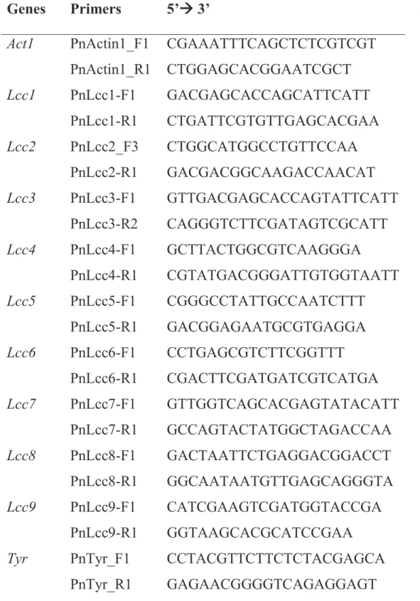 Table 3-1. Primer sets for cDNA and plasmid construction. 