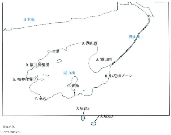 Fig. 1. Area studied.
