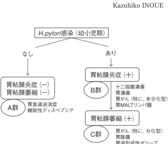 図 1 H.pylori 感染、胃粘膜状態、代表的疾患と ABC 分類 （文献 2, 3 より改変）H.pylori感染（幼小児期）なしあり 胃粘膜萎縮（＋）胃粘膜炎症（−）胃粘膜萎縮（−）胃粘膜炎症（＋） 胃がん（特に、分化型）胃腺腫胃過形成性ポリープ十二指腸潰瘍胃潰瘍 胃がん（特に、未分化型）胃MALTリンパ腫胃食道逆流症機能性ディスペプシアA群B群C群