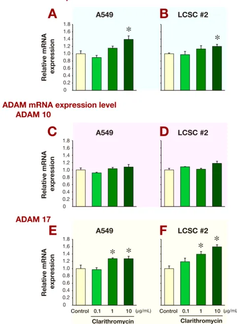 Fig. 1. The effect of clarithromycin on the mRNA expression of ULBP2, ADAM10 and ADAM17 in A549 and LCSC #2 cell lines