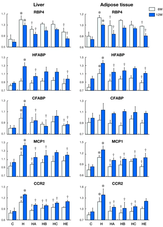 Fig. 4. Changes in mRNA expression with time in liver and adipose tissue. Levels of RBP4, HFABP, CFABP, MCP1 and CCR2 against  beta-actin mRNA expression are shown in the above histograms