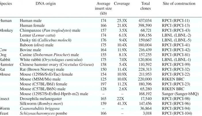 Table 1.  A list of BAC libraries constructed in the pBACe3.6 