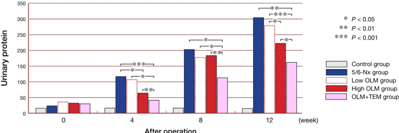 Fig. 3.  Effects of treatments on urinary protein in the 5 groups.  High OLM, high-dose olmesartan; 5/6-Nx, 5/6-ne- 5/6-ne-phrectomized; low OLM, low-dose OLM; OLM+TEM, high-dose OLM combined with high-dose temocapril
