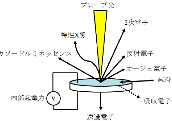 図 2.1  電子線が試料へ入射したときに得られる信号の模式図 [40] 