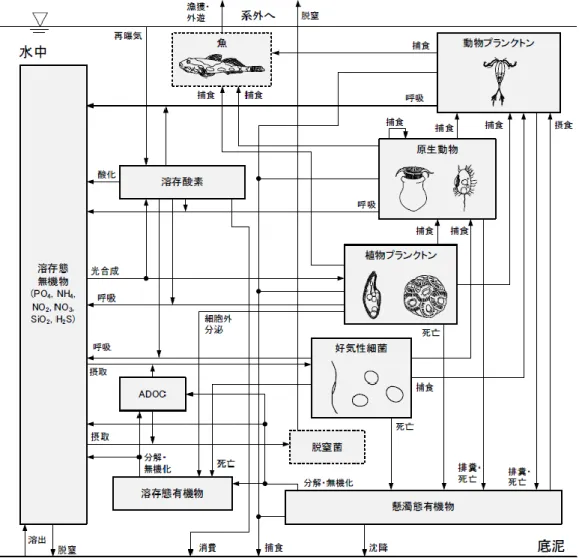 図 2-5  田中ほか（2011）の浮遊生態系モデル 