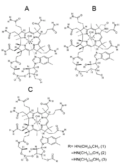 Fig. 22. Structural formula of alkylamine and c-lactam derivatives of OH-B 12