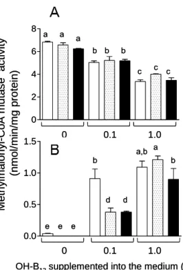 Fig.  24.  Effects  of  the  addition  of  dodecylamine  and  c-lactam  derivatives  of  OH-B 12  on MCM activity of COS-7 cells