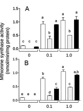 Fig.  25.  Effects  of  the  addition  of  dodecylamine  and  c-lactam  derivatives  of  OH-B 12   on  MS  activity  of  COS-7  cells