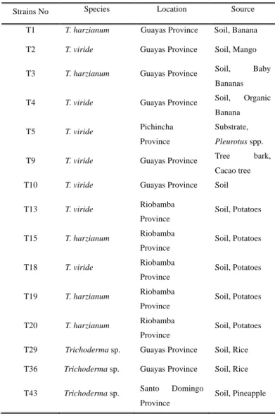 Table 2.1. Morphological classification of Ecuadorian Isolates. 
