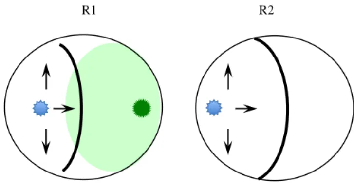 Fig. 2.3. Graphic illustration of antagonistic test,  pathogen  in  contrast  with  Trichoderma  strains  (R1)  and  growth  of  the  pathogen  in  control  dishes  (R2)