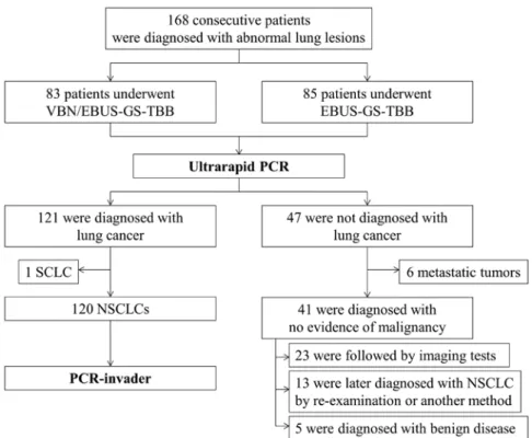 Figure 1. Flow diagram. One or more expert bronchoscopists determined whether to combine EBUS-GS with VBN, based on CT findings