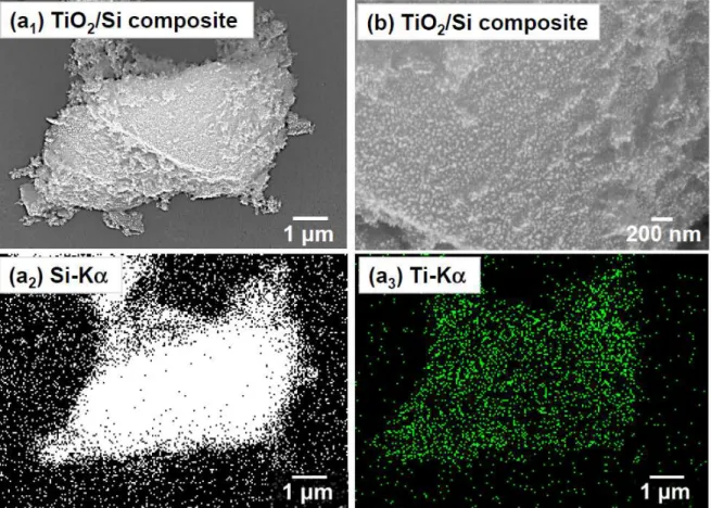 Figure  3.  (a 1 )  FE-SEM  image  of  TiO 2 /Si  composite  powder  synthesized  by  sol-del  method