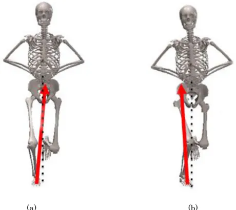 Figure 4.：Relationship of the knee joint alignment and the floor reaction force vector 