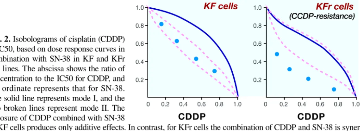 Fig. 3. Topo I catalytic activity  in KF and KFr cells. Topo I  catalytic activity in KFr cells  is 4-fold of that in KF cells