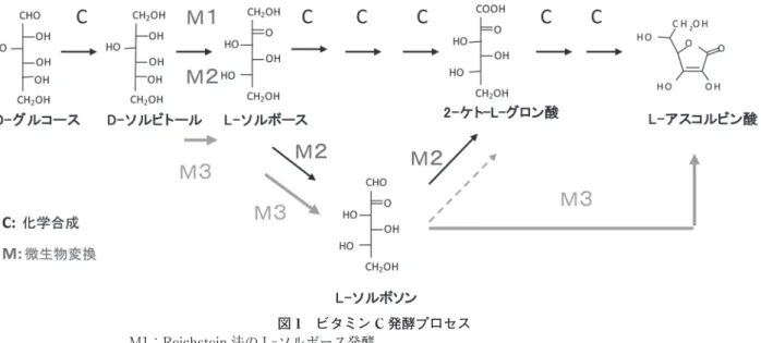 図 1　ビタミン C 発酵プロセス